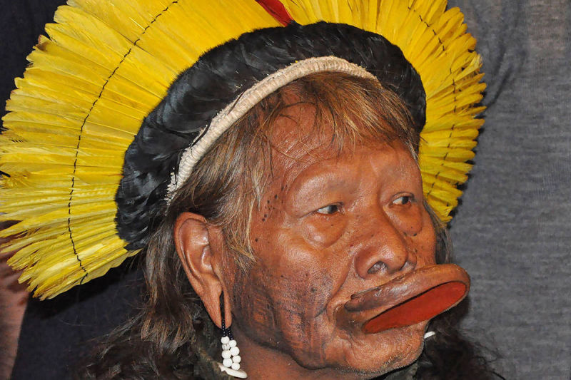 Portrait d'Amazonie